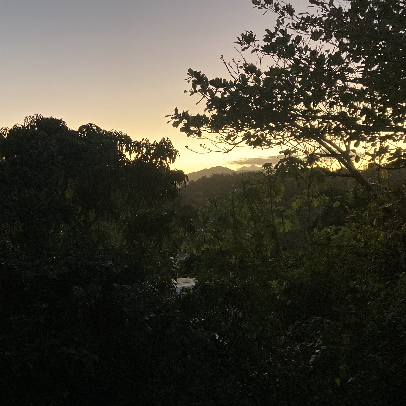 Early Evening Jayuya Puerto Rico On 18th February 21 By Daniel Guillemette Field Recordings