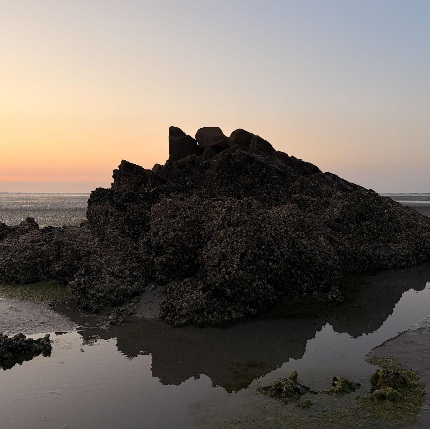Oyster Rock, Bretagne, France on 24th July 2026 – by Katherina Lindekens
