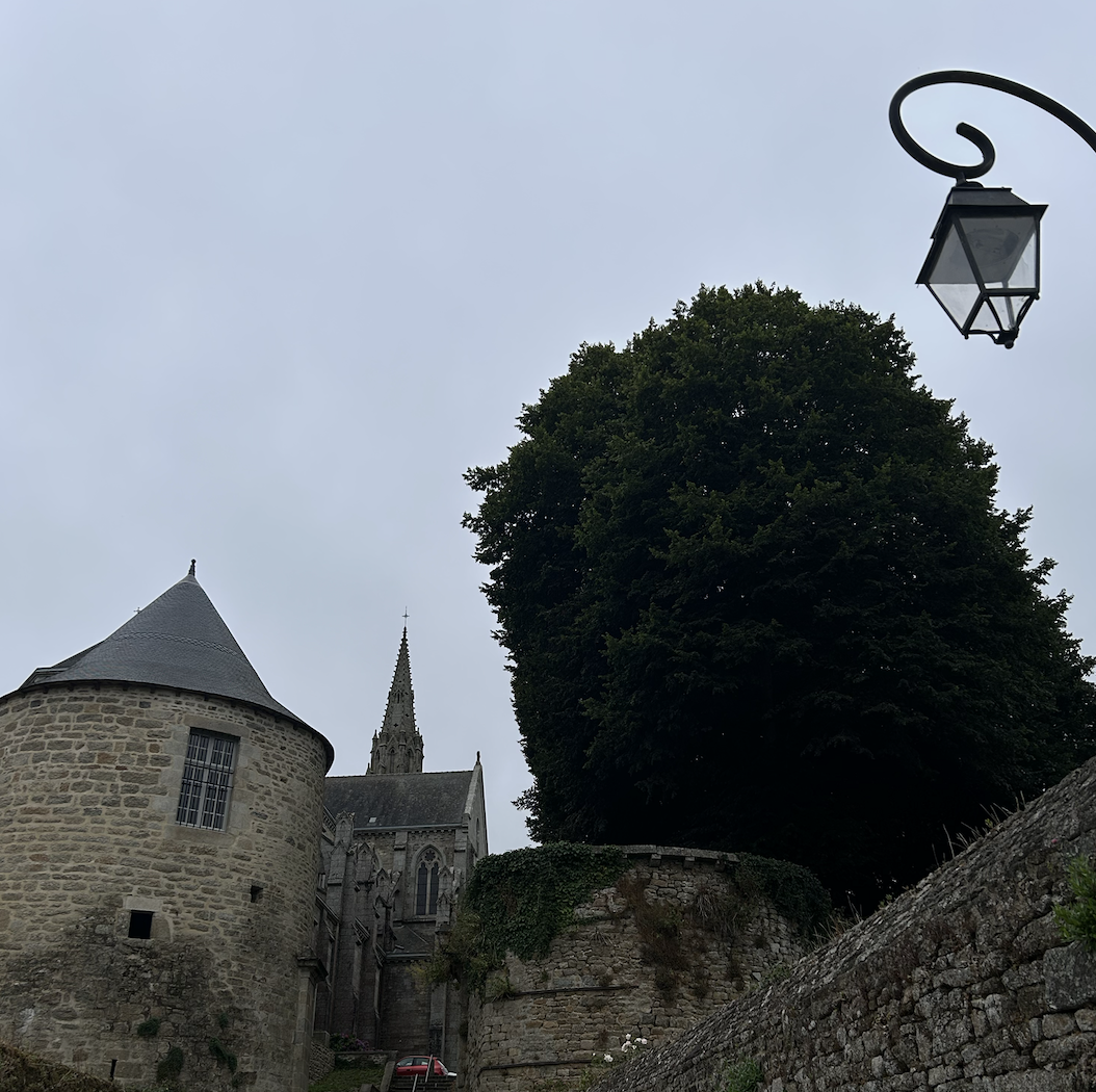 Jackdaws and Jenkins, Bretagne, France on 25th July 2026 – by Katherina Lindekens